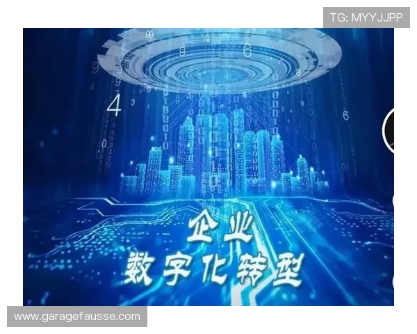 乐天娱乐集团：通过数字化转型实现娱乐产业可持续发展的典范