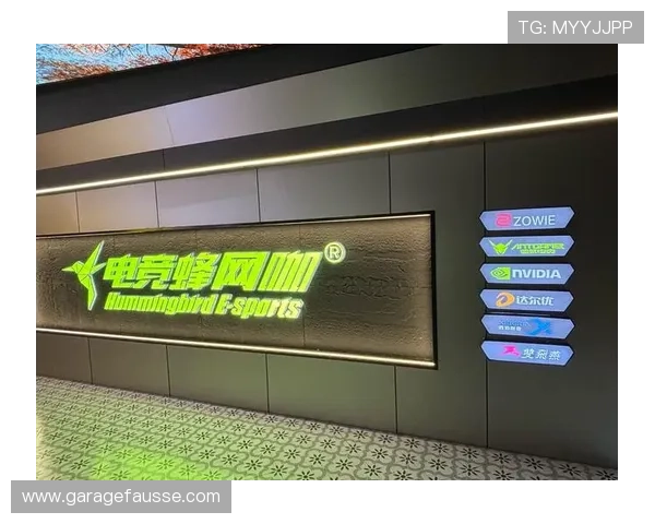 天博电竞app优化用户界面提升操作体验，赢得广大电竞爱好者的一致好评与高度认可